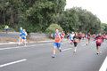 romostia_8404