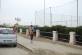 lidense_pino_016
