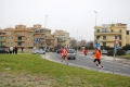 lidense_pino_025