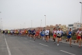 lidense_pino_033