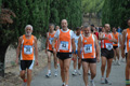 dominici_4017