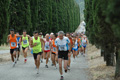 dominici_4024
