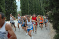 dominici_4026