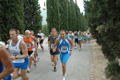 dominici_4030