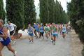 dominici_4031