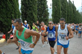 dominici_4032