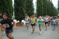 dominici_4033