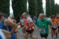 dominici_4035