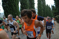 dominici_4036