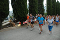 dominici_4037