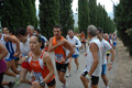 dominici_4040
