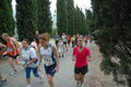 dominici_4045