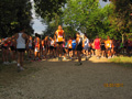 salvatori_2040