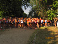 salvatori_2041
