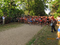 salvatori_2043