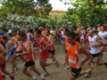 salvatori_2044