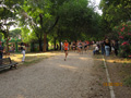 salvatori_2046