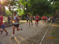 salvatori_2052