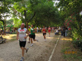 salvatori_2059