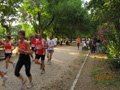 salvatori_2061