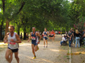salvatori_2068