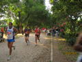 salvatori_2078