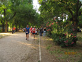 salvatori_2084