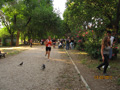 salvatori_2093