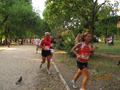 salvatori_2096
