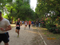 salvatori_2099