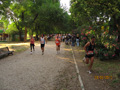 salvatori_2100