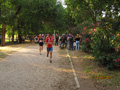 salvatori_2112