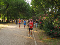 salvatori_2115