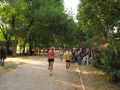 salvatori_2117