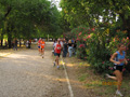 salvatori_2119