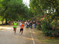 salvatori_2120