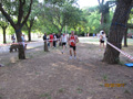 salvatori_2157