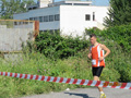 salvatori_va_1118