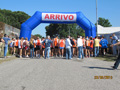 salvatori_va_1131