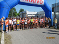 salvatori_va_1137