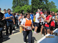 salvatori_va_1336