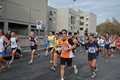 tiburtino2010+356