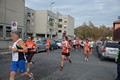 tiburtino2010+366