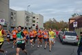 tiburtino2010+496