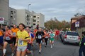 tiburtino2010+498