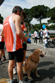 ferraresi_race_0772