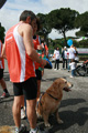 ferraresi_race_0773