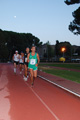 stafpat_1242