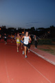 stafpat_1293