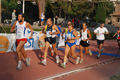 stafpat_3588
